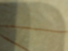 -金韩雅·烤肉·烤活鳗鱼(万达店)