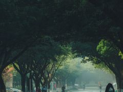 -四川大学(望江校区)