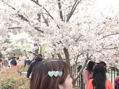 -西安青龙寺遗址景区