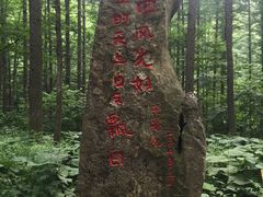 -洛阳白云山景区