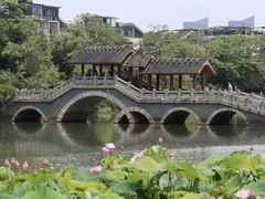 -金山公园