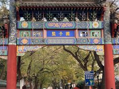 -北京国子监胡同