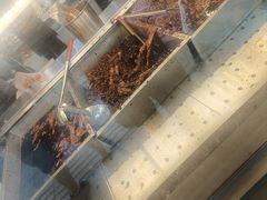 -老黄记手撕烤兔(玉林街店)