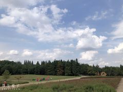 -同里国家湿地公园