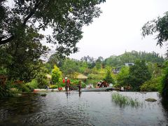 -成飞公园