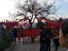 -香山公园-东宫门售票处