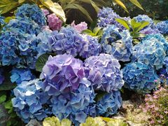 -人民公园(罗湖区)