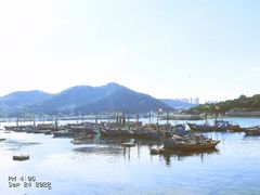 -棒棰岛宾馆景区