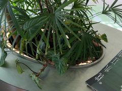 -枕水江南(铁西万象汇店)