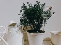 -ZARA HOME(蓝色港湾店)