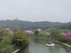 -苏州上方山国家森林公园