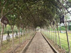 -武汉紫薇都市田园