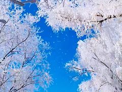 -雾凇岛