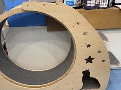 -伟伟宠物医院·瑞派猫友好医院·猫科(光谷店)