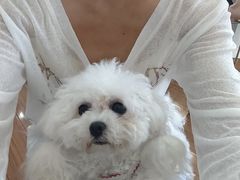 -汪说·狗咖·拼豆·宠物周边DIY(旺城大厦店)