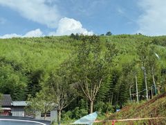 -莫干山风景区