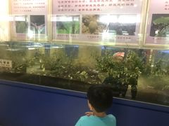 -上海昆虫博物馆