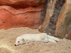 -Zoolung Zoolung动物主题公园(海信广场店)