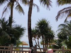 -碧桂园十里银滩