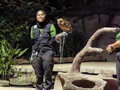 -夜间野生动物园