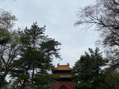 -沈阳市东陵公园