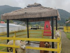 -宁波九龙湖开元度假村