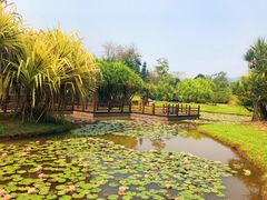 -中国科学院西双版纳热带植物园