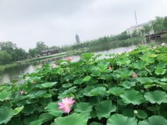 -西海子公园