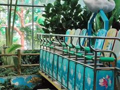 -南宫五洲植物乐园