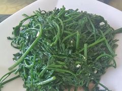 -八仔大富楼·河鲜(西江店)