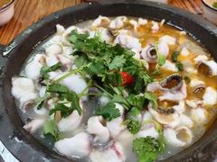 -大鼎石锅鱼(春江里店)