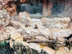 -珠海长隆海洋王国