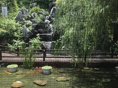 -耕渔小院·湖南鱼鲜(望城店)