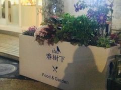 门面-春树下·树屋花房西餐厅(罍街AS1980店)