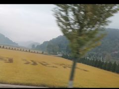-南泥湾风景区