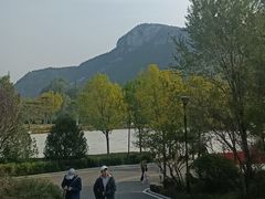 -佛慧山