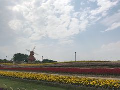 -杭州湾海上花田景区