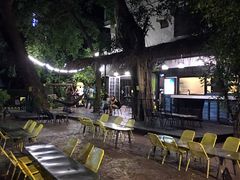 -莓园冰淇淋店