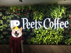 -Peet's Coffee皮爷咖啡(大学路店)