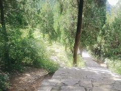 -佛慧山