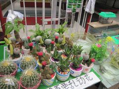 -石峰公园