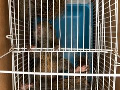 -雨林宠物医院 非犬猫异宠专科