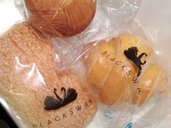 -BLACKSWAN黑天鹅(环球店)