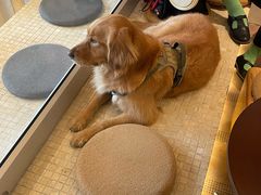 -小团圆糖水铺(襄阳南路店)