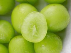 -美家乐农庄·露营·团建(大治路店)