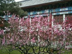 android_upload_pic-北京大学赛克勒考古与艺术博物馆
