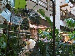 -太湖饭店玉兰厅(自助餐厅)