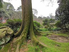 -南山植物园