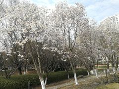 -白塘生态植物园