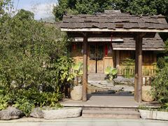 -南山植物园